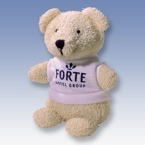 Picture of BEANIE BEAR with Tee Shirt