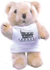 Picture of HONEY BEAR with Printed Tee Shirt