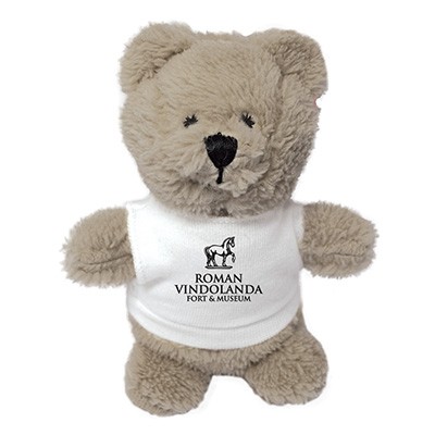 Picture of BEANIE BEAR with Tee Shirt.