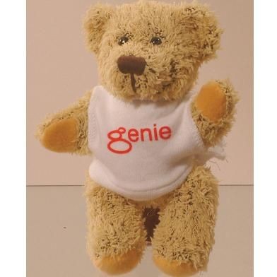 Picture of KORKY PROMOTIONAL BEAR with Printed Tee Shirt