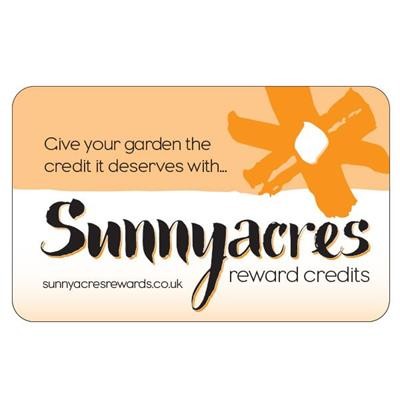 Picture of CREDIT CARD SHAPE FRIDGE MAGNET