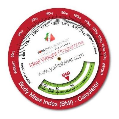 Picture of INFO WHEEL