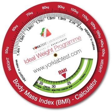 Picture of INFO WHEEL