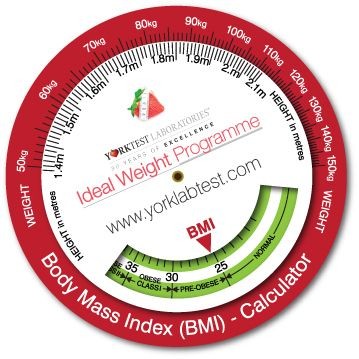 Picture of INFO WHEEL.