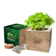 Picture of DESK TOP CUBE GARDENS