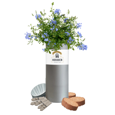 Picture of DESK TOP TUBE GARDENS