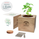 Picture of ESSENTIALS DESK TOP CUBE GARDENS