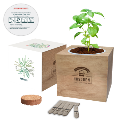 Picture of ESSENTIALS DESK TOP CUBE GARDENS