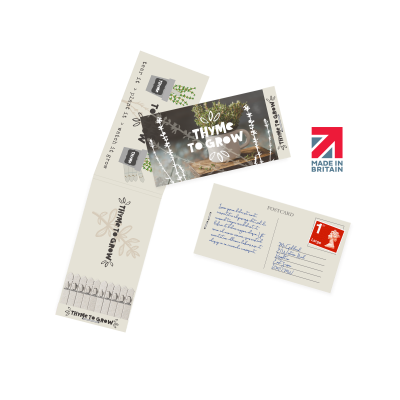 Picture of POSTCARD SEEDSTICKS®.
