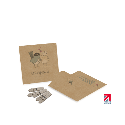 Picture of SMALL SEEDS PACKET ENVELOPES - KRAFT