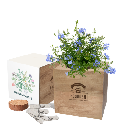 Picture of EXPRESS DESK TOP CUBE GARDENS .