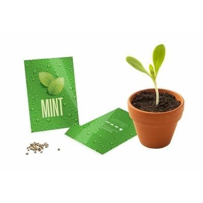 Picture of MEDIUM SEEDS PACKET ENVELOPES - GLOSS