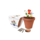 ESSENTIALS CLAY POT SEEDS GARDENS image 2