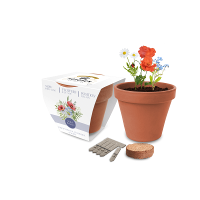 Picture of ESSENTIALS CLAY POT SEEDS GARDENS