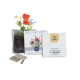 ESSENTIALS LETTERBOX SEEDS GARDENS image 2