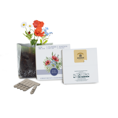 Picture of ESSENTIALS LETTERBOX SEEDS GARDENS