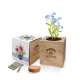 ESSENTIALS DESKTOP SEEDS CUBE GARDENS image 2