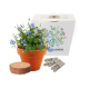 EXPRESS CLAY POT SEEDS GARDENS image 2