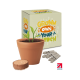 BOXED POT SEEDS GARDENS image 2