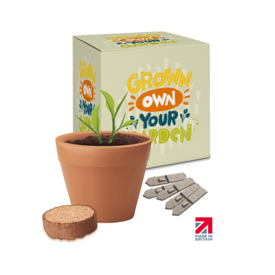 Picture of BOXED POT SEEDS GARDENS
