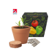 RECYCLED POT SEEDS GARDENS image 2