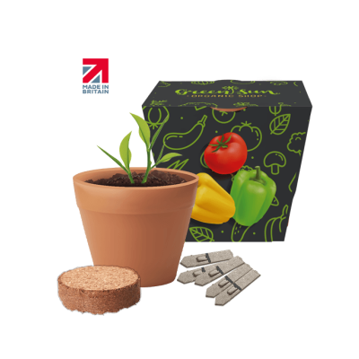 Picture of RECYCLED POT SEEDS GARDENS