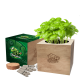 DESKTOP CUBE SEEDS GARDENS image 2