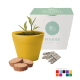 BAMBOO POT SEEDS GARDENS image 2