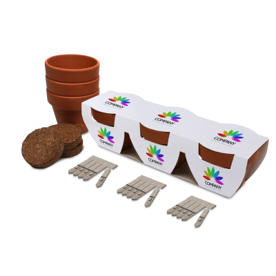 Picture of TRIO SEEDS POT GARDENS