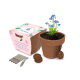 LARGE CLAY POT GARDENS image 2