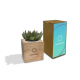 WOOD SUCCULENT image 2