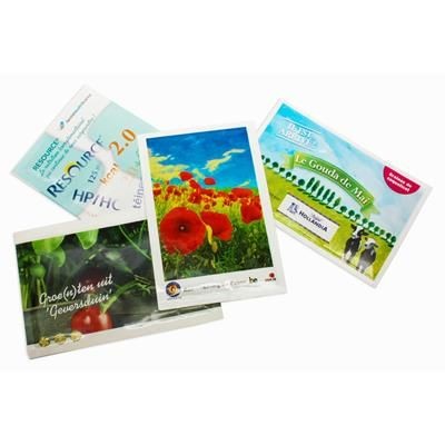 Picture of LARGE SEEDS PACKETS - GLOSS