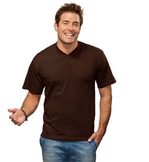 Picture of HANES V NECK TEE SHIRT