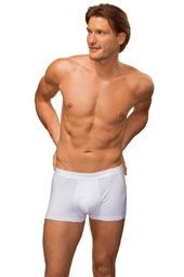Picture of HANES UNDERWEAR MENS BOXERS