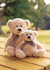 Picture of MUMBLES OTIS SOFT TOY BEAR