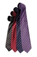 Picture of PREMIER LINE CHECK BUSINESS TIE