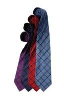 Picture of PREMIER GRAND LINE CHECKED FINE SILK TIE