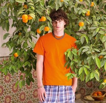 Picture of FRUIT OF THE LOOM SUPER PREMIUM TEE SHIRT