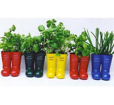 Picture of WELLY WELLINGTON BOOT HERB PLANT POT