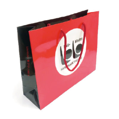 Picture of LAMINATED PAPER BAG - LARGE PORTRAIT