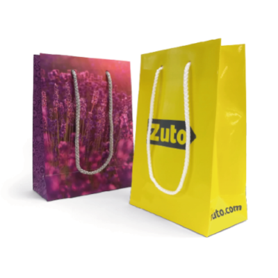 Picture of LAMINATED PAPER BAG - SMALL