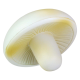 Picture of STRESS MUSHROOM