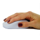 Picture of MODERN COMPUTER MOUSE (LIGHT GREY) *