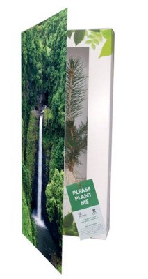 Picture of REAL LIVE NORWAY SPRUCE TREE in a Greeting Card.