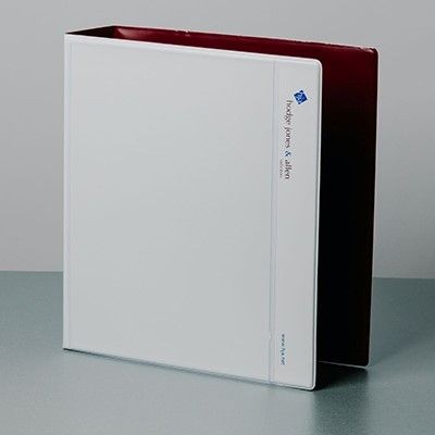 Picture of LEVER ARCH BINDER