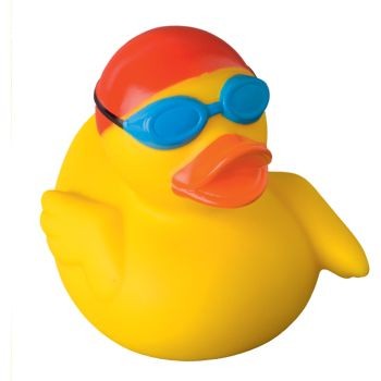 Picture of SWIMMER DUCK