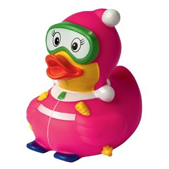 Picture of SKI DUCK.