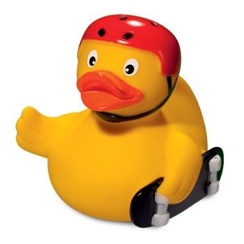 Picture of SKATEBOARD DUCK.