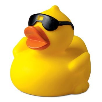 Picture of SUNGLASS DUCK.