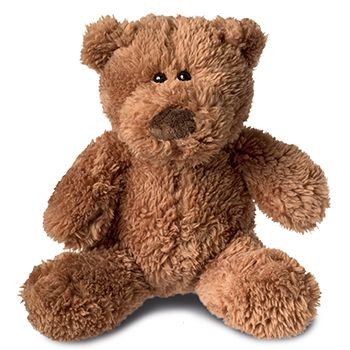Picture of HEIKE BROWN TEDDY BEAR.